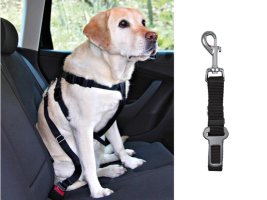 Car safety harness & equipment