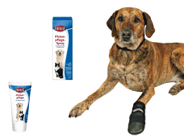Paw Protection and Care