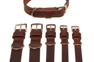 Large selection of collars, leashes and...