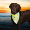 Safer Life safety neckerchiefs