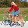 Bicycle and jogging leash