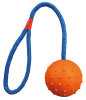 Ball on a Rope