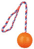 Ball on a Rope