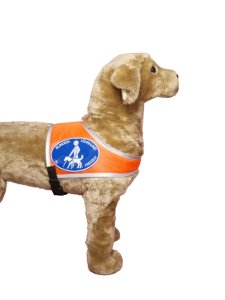 Recognition vest "Blindenführhund in Freizeit" Size 2 textile fabric