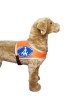 Recognition vest "Blindenführhund in Freizeit" Size 3 imitation leather
