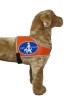 Recognition vest "Blindengeleidehond" Size 2...