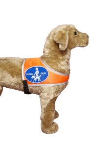 Kenndecke "Perro Guia" Größe 3 Fahnenstoff spanisch