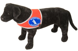 Kenndecke "Medizinischer Assistenzhund" Fahnenstoff Größe L