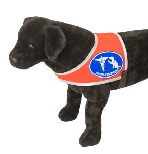 Kenndecke "Assistenzhund", Symbol "Ärztestab & Hund"