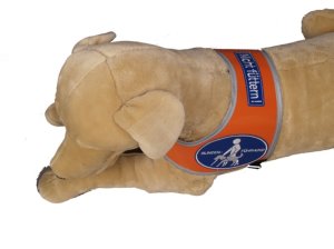 Addition labeling for Recognition vest "Blindenführhund" Nicht füttern!
