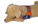Addition labeling for Recognition vest "Blindenführhund" Nicht füttern!