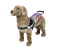 Training harness for guide dogs
