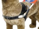 Training harness for guide dogs