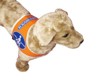 Recognition vest "Blindenführhund - In Ausbildung"