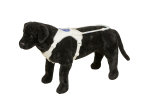 Führgeschirr "Bello" L - XL Gerader Führbügel 35cm Griffbezug in Leder