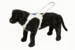 Führgeschirr "Bello" L - XL Gerader Führbügel 35cm Griffbezug in Leder